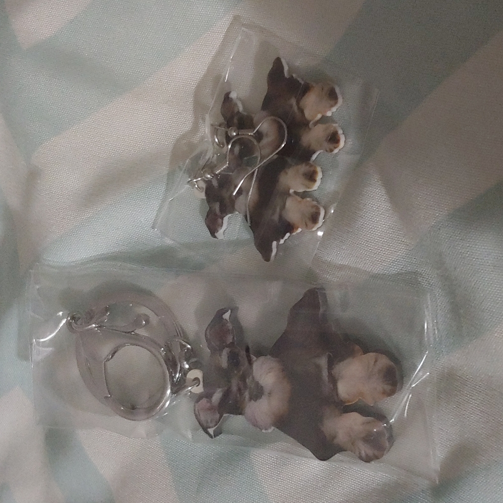 Schnauzer keychain and earring set